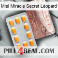 Miel Miracle Secret Léopard new13